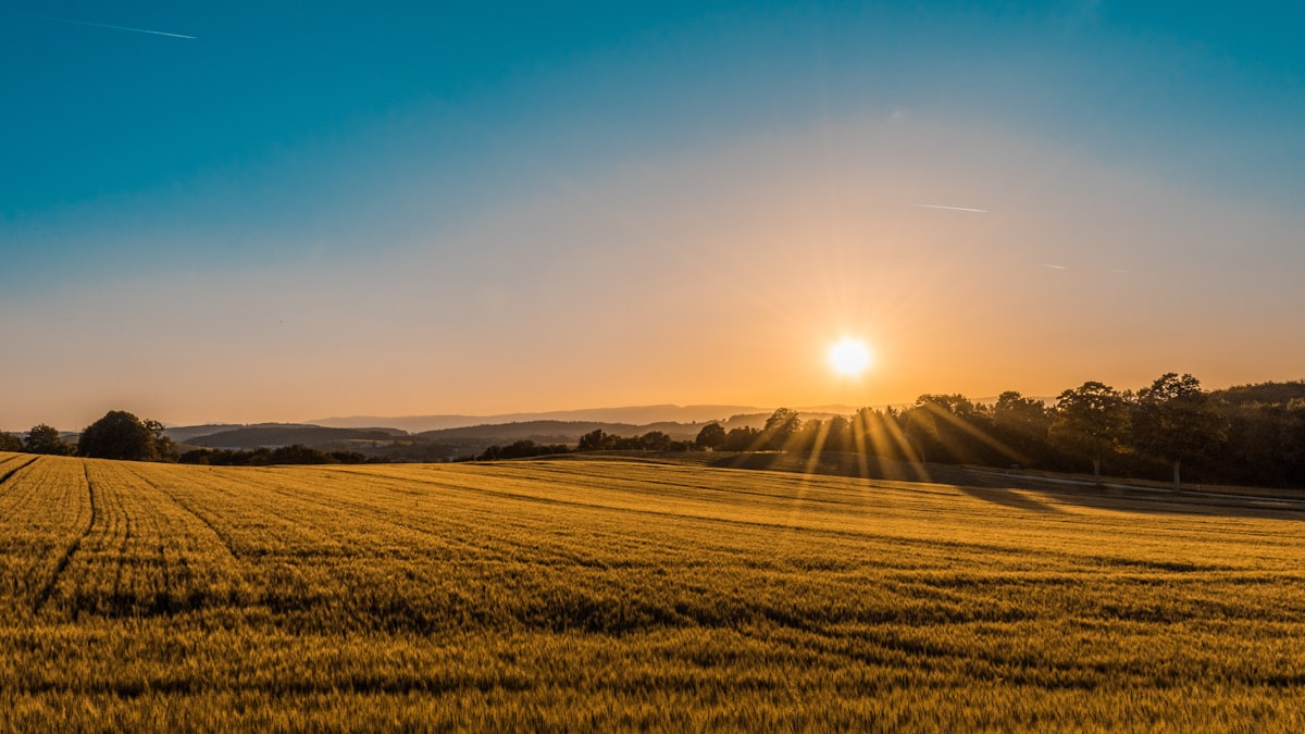 How to Buy Land Safely in Kenya: A Complete Due-Diligence Guide